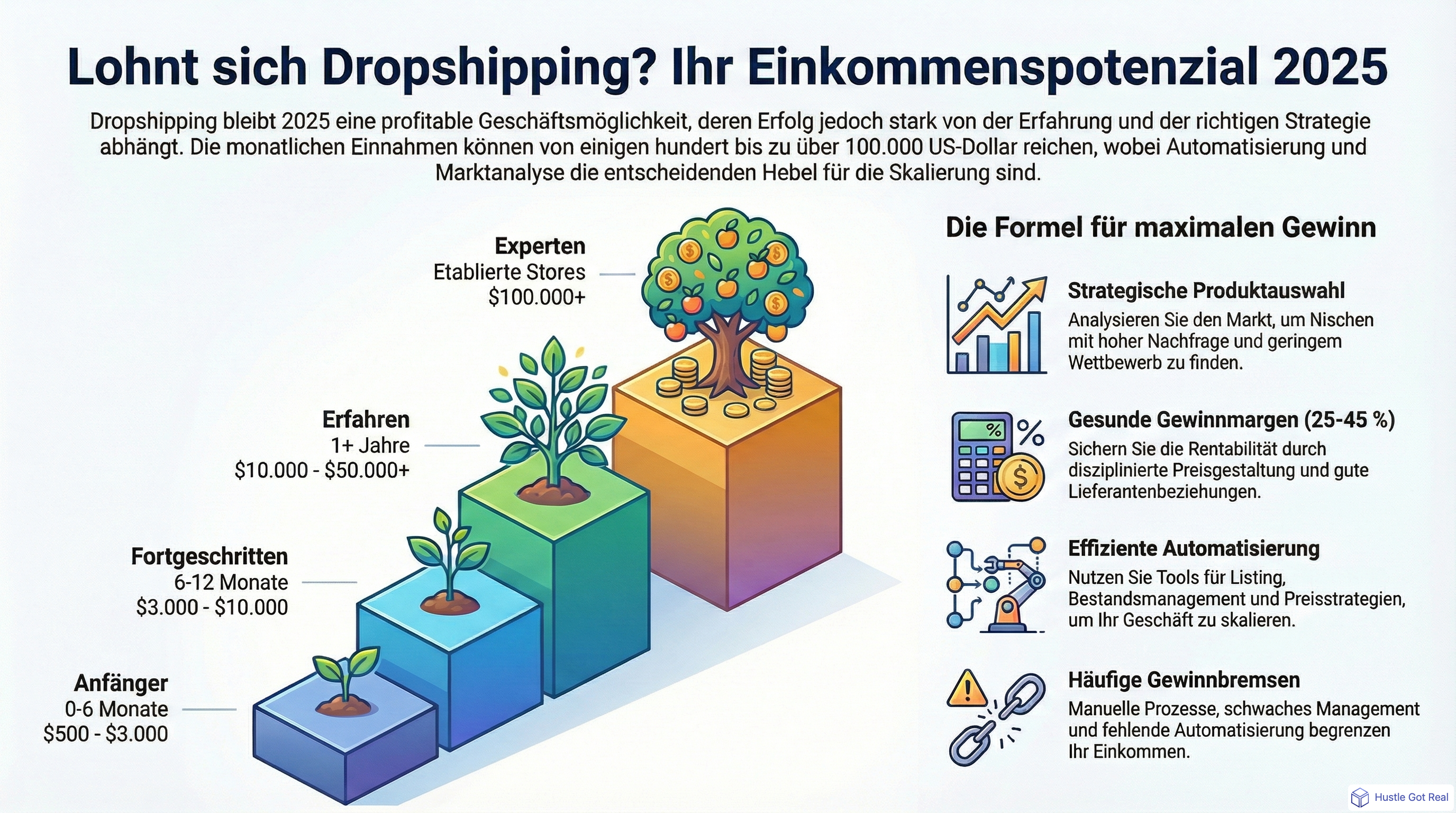 Lohnt sich Dropshipping? Durchschnittliches Dropshipping-Einkommen 2025 infographic